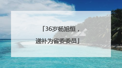 36岁杨旭恒，递补为省委委员