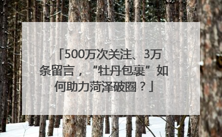 500万次关注、3万条留言，“牡丹包裹”如何助力菏泽破圈？