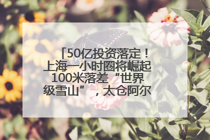 50亿投资落定！上海一小时圈将崛起100米落差“世界级雪山”，太仓阿尔卑斯二期重磅开工