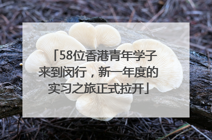 58位香港青年学子来到闵行，新一年度的实习之旅正式拉开