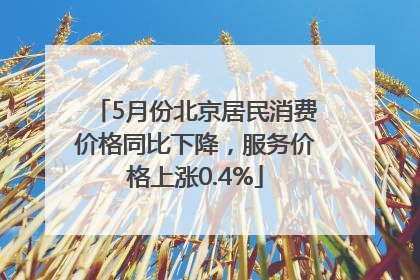 5月份北京居民消费价格同比下降，服务价格上涨0.4%