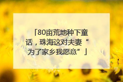 80亩荒地种下童话，珠海这对夫妻“为了家乡我愿意”