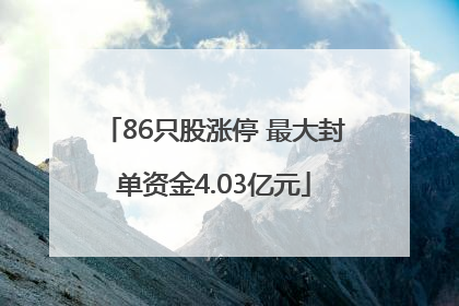 86只股涨停 最大封单资金4.03亿元