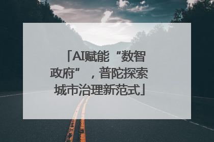 AI赋能“数智政府”，普陀探索城市治理新范式