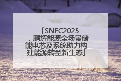SNEC2025，鹏辉能源全场景储能电芯及系统助力构建能源转型新生态